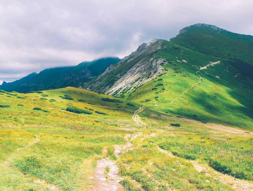 Unauth title btrhoWuN